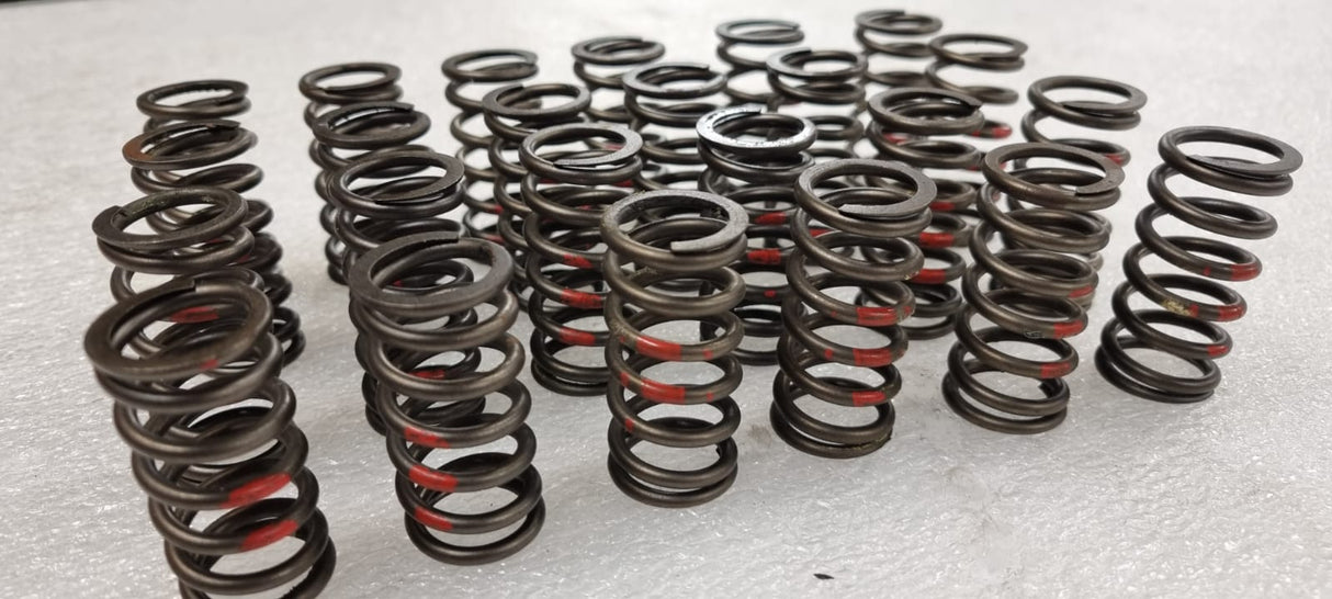 Toyota 2JZ/1JZ Single Valve Springs Only (24)