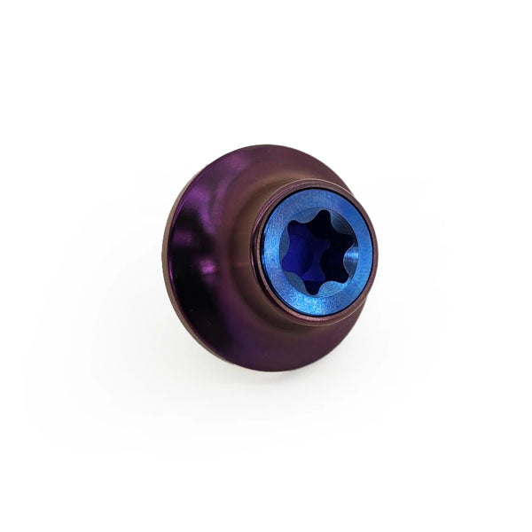 PHR Titanium Cam Gear Bolt and Washer for 2JZ
•Blue Bolt
•Purple Washer