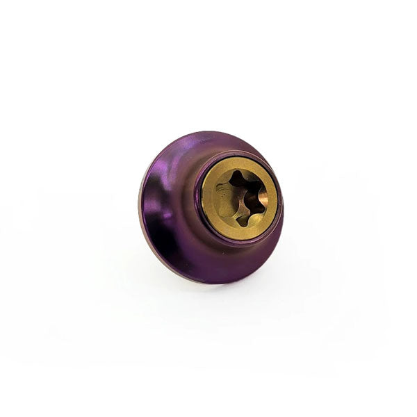 PHR Titanium Cam Gear Bolt and Washer for 2JZ
•Bronze Bolt
•Purple Washer