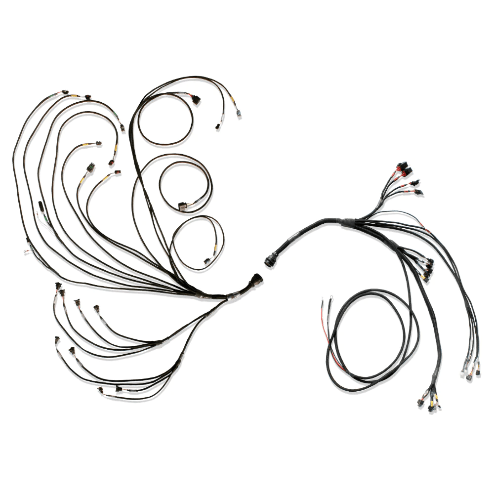 FuelTech PRO600 FORD V8 COMPLETE HARNESS - Future Motorsports - ENGINE MANAGEMENT / ECU - FuelTech - Future Motorsports