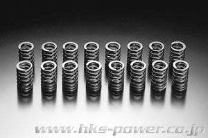 HKS VALVE SPRINGS NISSAN SKYLINE R33 GTR - Future Motorsports - - HKS - Future Motorsports