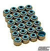 GSC Valve stem seal set (quantity 24) VQ35, VR38, VG30