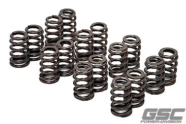 GSC Single Beehive Spring for use with stock seat and Evo 8/9 retainer 4G63T