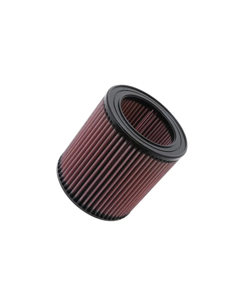 K&N Replacement Air Filter E-0890