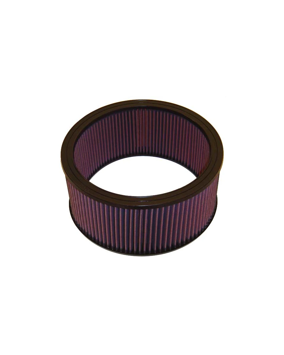 K&N Replacement Air Filter E-1420