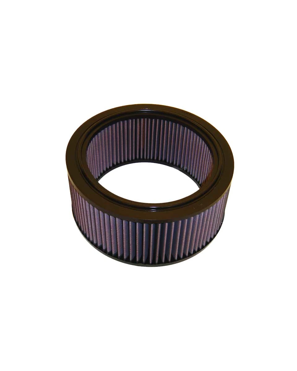 K&N Replacement Air Filter E-1460