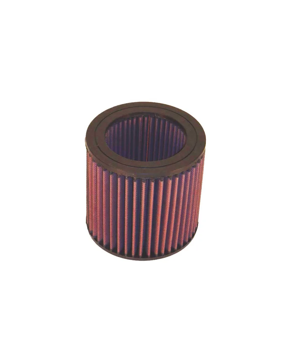 K&N Replacement Air Filter E-2455