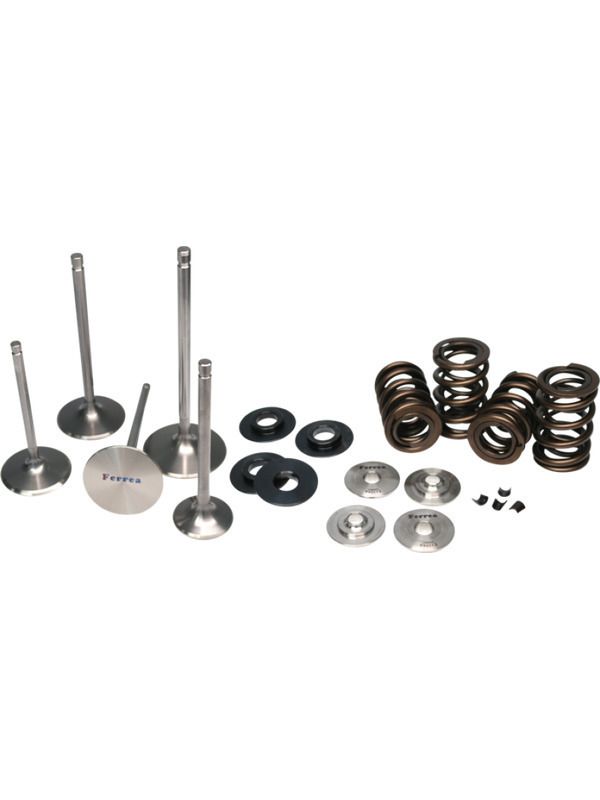 Ferrea Scion FR-S FA20 4U-GSE (2012-2015) Single Valve Springs Kit