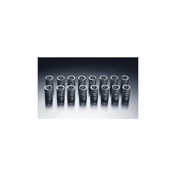 HKS Valve Spring kit SR20 DE(T) Step 2 (Not RNN14!)