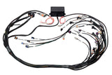 Haltech Elite 2500 GM GEN III LS1 & LS6 (DBW Retrofit Ready) Terminated Harness