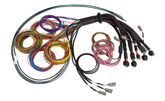 Haltech NEXUS R5 Universal Wire-In harness