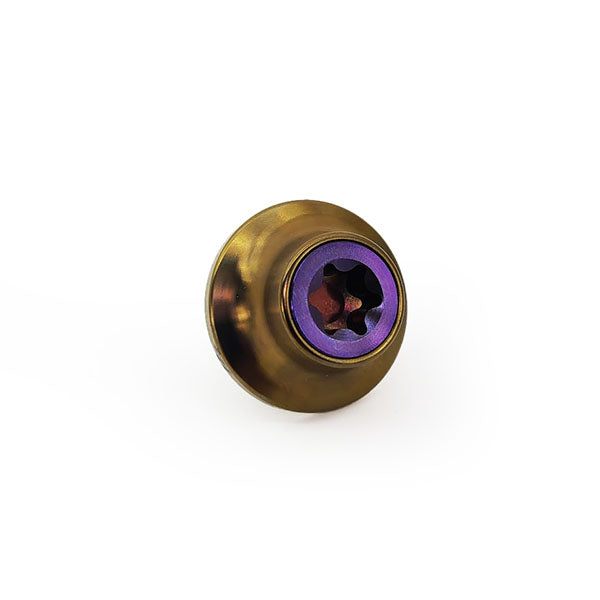 PHR Titanium Cam Gear Bolt and Washer for 2JZ
•Purple Bolt
•Bronze Washer