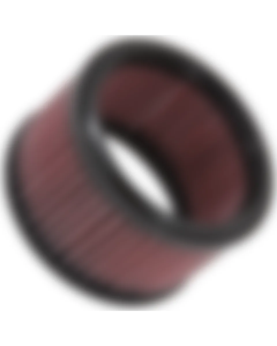 K&N Replacement Air Filter RO-5010