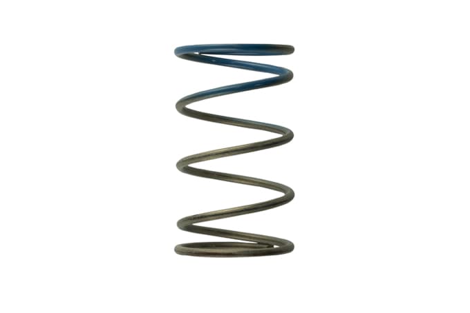 Turbosmart 2011 WG38/4045 10PSI Outer Spring Brown/Blue