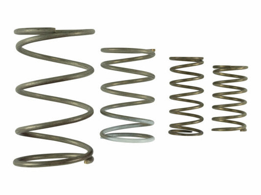 Turbosmart GenV WG60 Spring Replacement Kit