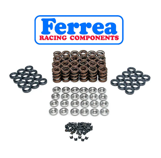 Ferrea Nissan Skyline RB26 Dual Valve Springs Kit