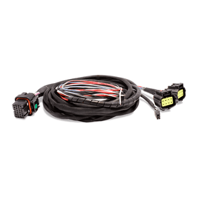 FuelTech ALCOHOL O2 DUAL CHANNEL HARNESS 8FT - Future Motorsports - ENGINE MANAGEMENT / ECU - FuelTech - Future Motorsports