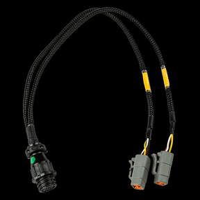 FuelTech EGT-8 TO DUAL EGT-4 ADAPTER HARNESS - Future Motorsports - ENGINE MANAGEMENT / ECU - FuelTech - Future Motorsports