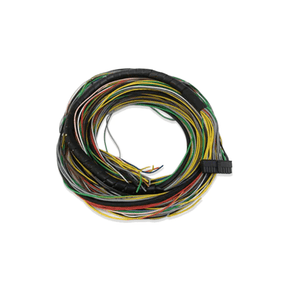 FuelTech FT250/300/350/400 MAIN HARNESS 10FT - Future Motorsports - ENGINE MANAGEMENT / ECU - FuelTech - Future Motorsports