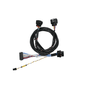 FuelTech FT350 TO FT450 ADAPTER HARNESS W/ NANO - Future Motorsports - ENGINE MANAGEMENT / ECU - FuelTech - Future Motorsports