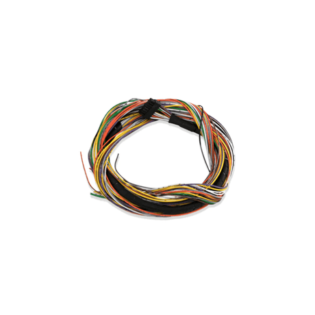 FuelTech FT400 AUXILIARY HARNESS 20FT - Future Motorsports - ENGINE MANAGEMENT / ECU - FuelTech - Future Motorsports