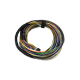 FuelTech FT400 AUXILIARY HARNESS DYNO EXTENSION 13FT - Future Motorsports - ENGINE MANAGEMENT / ECU - FuelTech - Future Motorsports