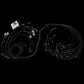 FuelTech FT450/550 6 CYLINDER UNIVERSAL A HARNESS - Future Motorsports - ENGINE MANAGEMENT / ECU - FuelTech - Future Motorsports