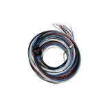 FuelTech FT450/550 A HARNESS 20FT - Future Motorsports - ENGINE MANAGEMENT / ECU - FuelTech - Future Motorsports