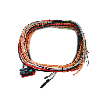 FuelTech FTSPARK-1 BLANK HARNESS - Future Motorsports - ENGINE MANAGEMENT / ECU - FuelTech - Future Motorsports