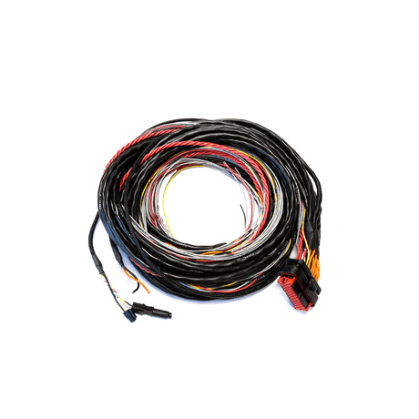 FuelTech FTSPARK EXTREME BLANK HARNESS - Future Motorsports - ENGINE MANAGEMENT / ECU - FuelTech - Future Motorsports