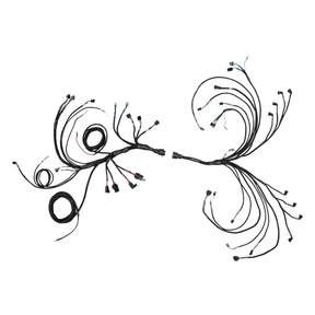 FuelTech PRO550 FORD V8 COMPLETE HARNESS - Future Motorsports - ENGINE MANAGEMENT / ECU - FuelTech - Future Motorsports