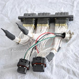 PHR PowerHouse Racing PHR MoTeC Plug N Play Harness for 2jzgte (manual)