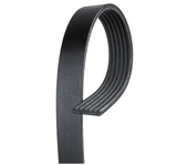 PHR PowerHouse Racing Gates, Micro-V Belt, 13/16 x 31 1/4 OC, 20mm x 793mm OC