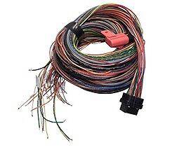 Link ECU  5m T Loom - Early Atom G4 - Future Motorsports - ENGINE MANAGEMENT / ECU - LINK - Future Motorsports