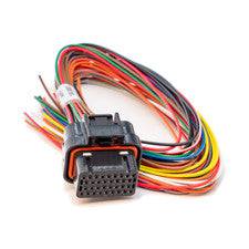 Link ECU  G4 Loom A 5m - All wireIn ECUs - Future Motorsports - ENGINE MANAGEMENT / ECU - LINK - Future Motorsports