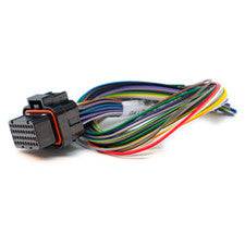 Link ECU  Loom A (2.5m) - All wireIn ECUs - Future Motorsports - ENGINE MANAGEMENT / ECU - LINK - Future Motorsports