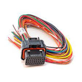Link ECU  Loom A 400mm - All wireIn ECUs - Future Motorsports - ENGINE MANAGEMENT / ECU - LINK - Future Motorsports