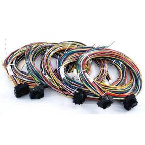 ProEFi Flying Lead Harnesses Pro128 Pro112 Pro48 - Future Motorsports - WIRING - ProEFi - Future Motorsports