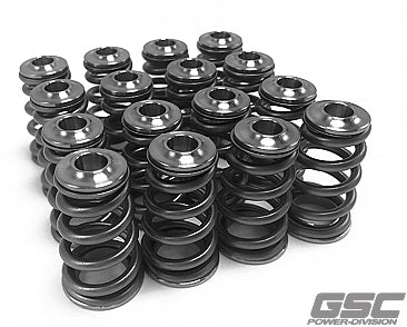 GSC EJ HP Conical spring, Ti ret, and seat EJ Series Motors