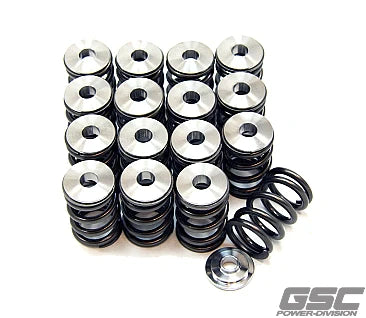 GSC Single Spring and Titanium Retainer EJ series motors