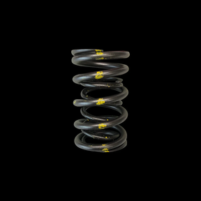VALVE SPRINGS - DUAL (Honda/Acura B18A/B18B/B20B, Subara EJ Series) - Future Motorsports - CYLINDERHEAD VALVETRAIN - BRIAN CROWER - Future Motorsports