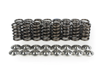 SINGLE SPRING/TITANIUM RETAINER KIT (Honda D16Y8/D16Z6) - Future Motorsports - CYLINDERHEAD VALVETRAIN - BRIAN CROWER - Future Motorsports