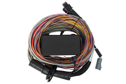Haltech Elite 750 Premium Universal Wire-in Harness