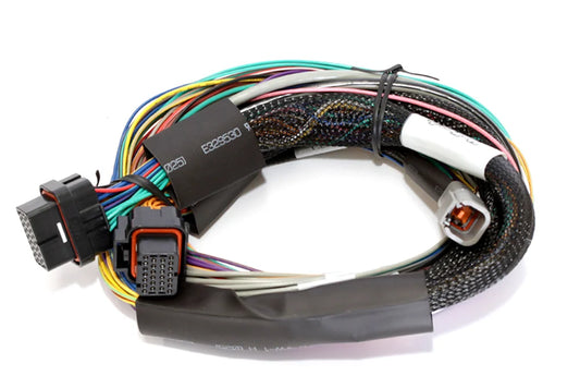 Haltech Elite 1500 Basic Universal Wire-in Harness