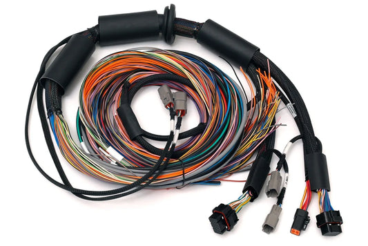Haltech Nexus R3  Universal Wire-in Harness - 2.5m (8)