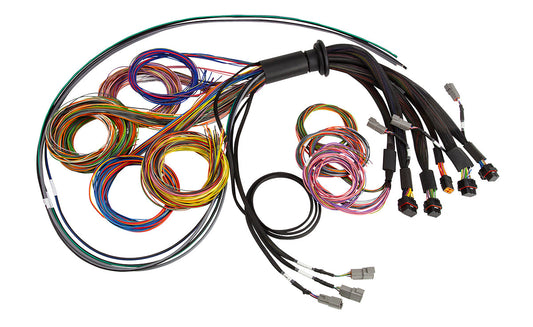 Haltech Nexus R5 Haltech Universal Wire-In harness